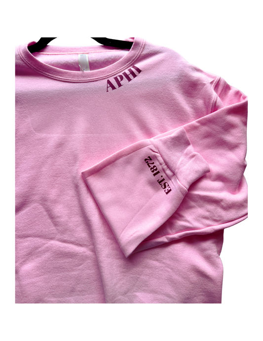 APHI Sweatshirt